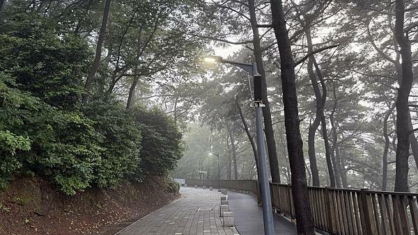 IMG_3445 (2).jpg IMG_3445 (2).jpg