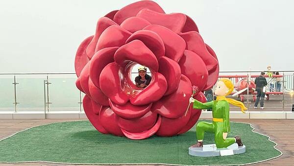 IMG_3466 (1).jpg IMG_3466 (1).jpg