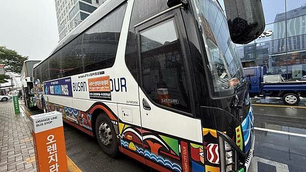 IMG_3156 (1).jpg IMG_3156 (1).jpg