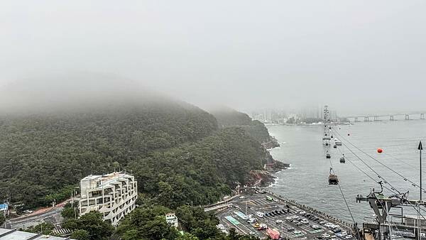 IMG_3561 (2).jpg IMG_3561 (2).jpg