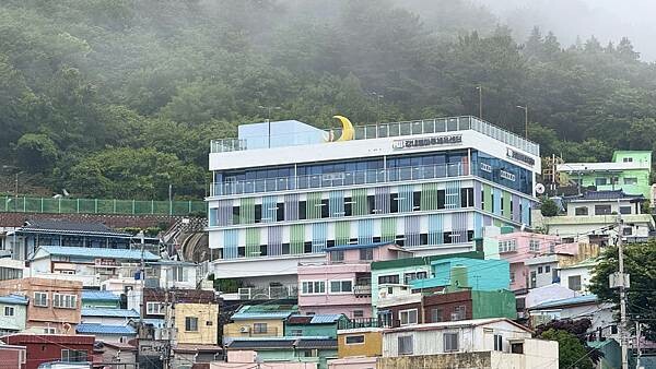 IMG_3219 (1).jpg IMG_3219 (1).jpg