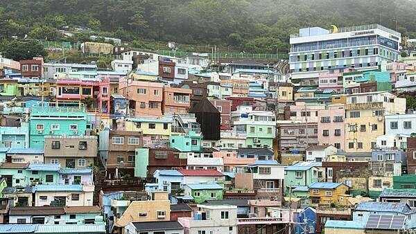 IMG_3220.jpg IMG_3220.jpg