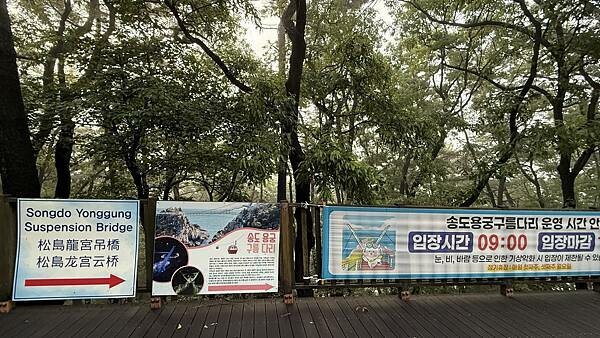 IMG_3446 (1).jpg IMG_3446 (1).jpg