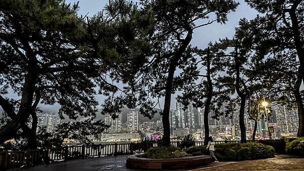 IMG_3651.jpg IMG_3651.jpg