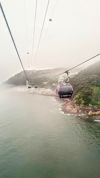 IMG_3393.jpg IMG_3393.jpg