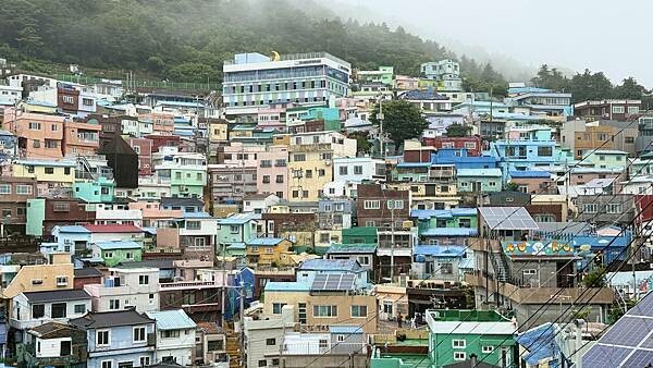 IMG_3221 (1).jpg IMG_3221 (1).jpg