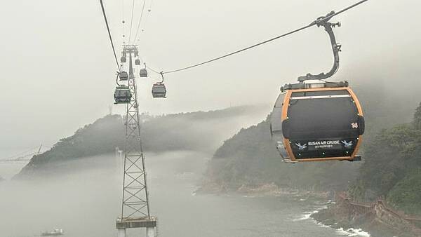 IMG_3377.jpg IMG_3377.jpg