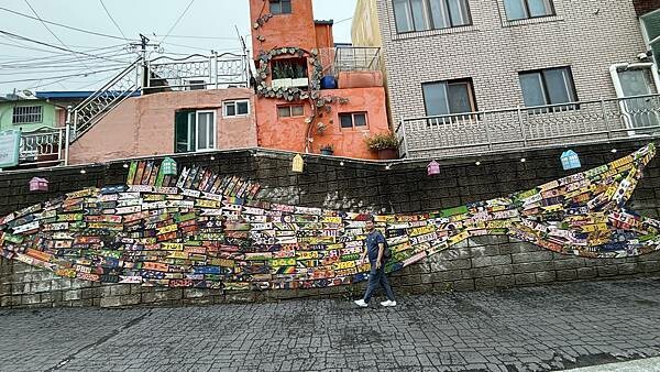 IMG_3228.jpg IMG_3228.jpg