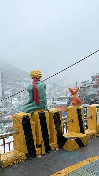 IMG_3311 (1).jpg IMG_3311 (1).jpg