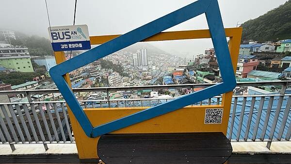 IMG_3321 (1).jpg IMG_3321 (1).jpg