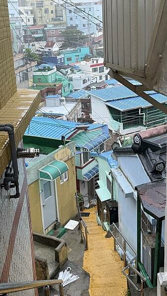 IMG_3282.jpg IMG_3282.jpg