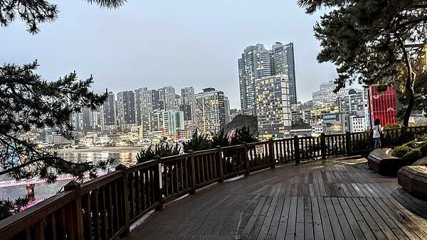 IMG_3650 (1).jpg IMG_3650 (1).jpg