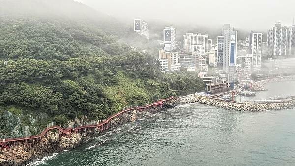 IMG_3389 (1).jpg IMG_3389 (1).jpg