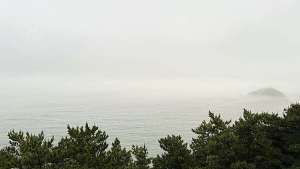 IMG_3571.jpg IMG_3571.jpg