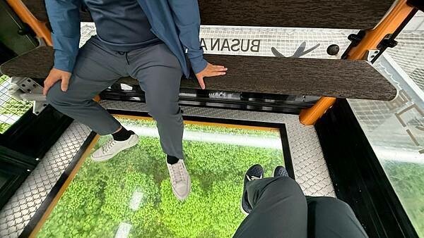 IMG_3406.jpg IMG_3406.jpg