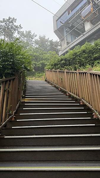 IMG_3447.jpg IMG_3447.jpg