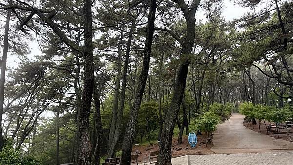 IMG_3426 (1).jpg IMG_3426 (1).jpg