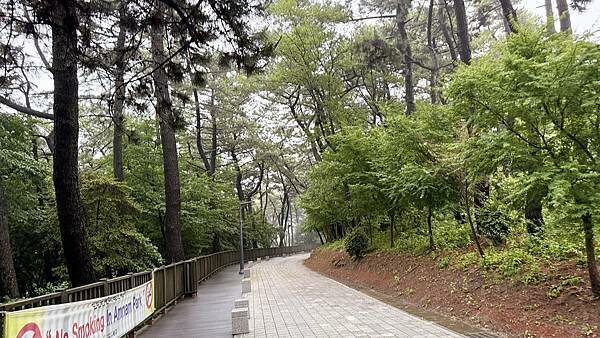 IMG_3427 (1).jpg IMG_3427 (1).jpg