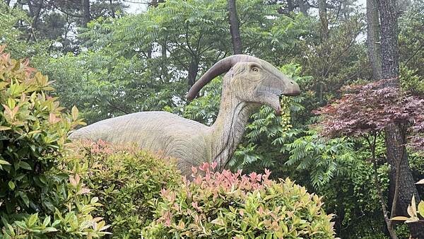 IMG_3424 (1).jpg IMG_3424 (1).jpg