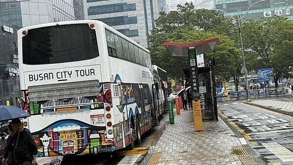 IMG_3155 (1).jpg IMG_3155 (1).jpg