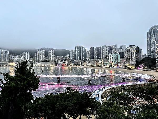 IMG_3645.jpg IMG_3645.jpg