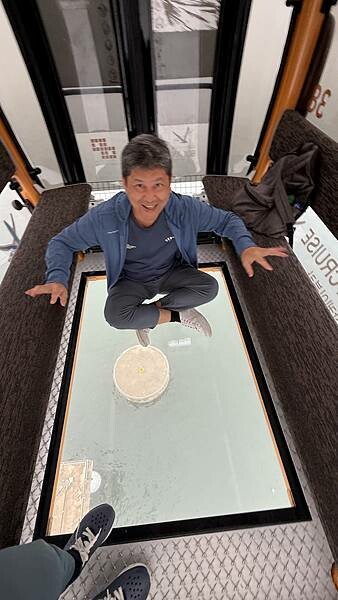 IMG_3372.jpg IMG_3372.jpg