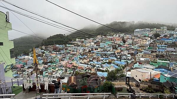 IMG_3224.jpg IMG_3224.jpg