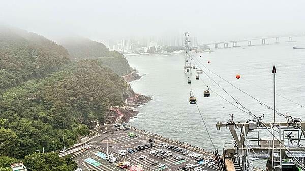 IMG_3563 (1).jpg IMG_3563 (1).jpg