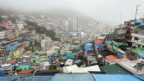 IMG_3316.jpg IMG_3316.jpg