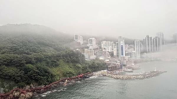 IMG_3387.jpg IMG_3387.jpg