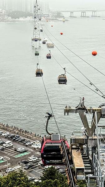 IMG_3565 (2).jpg IMG_3565 (2).jpg