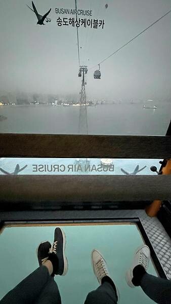 IMG_3595.jpg IMG_3595.jpg