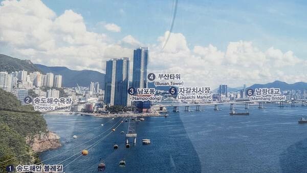 IMG_3525.jpg IMG_3525.jpg