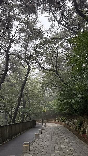 IMG_3430 (2).jpg IMG_3430 (2).jpg