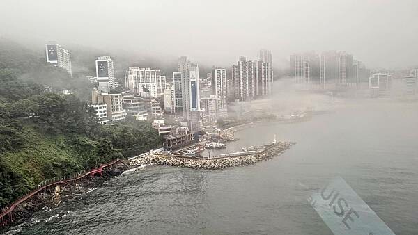 IMG_3390.jpg IMG_3390.jpg