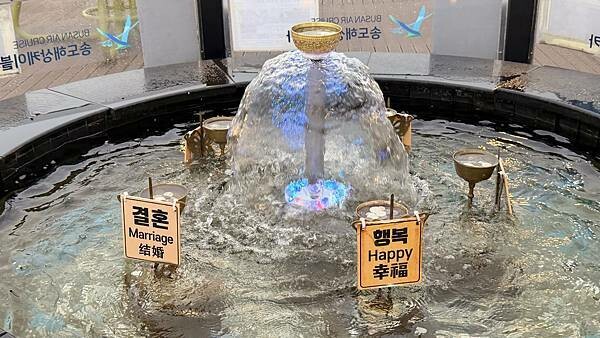 IMG_3568 (1).jpg IMG_3568 (1).jpg