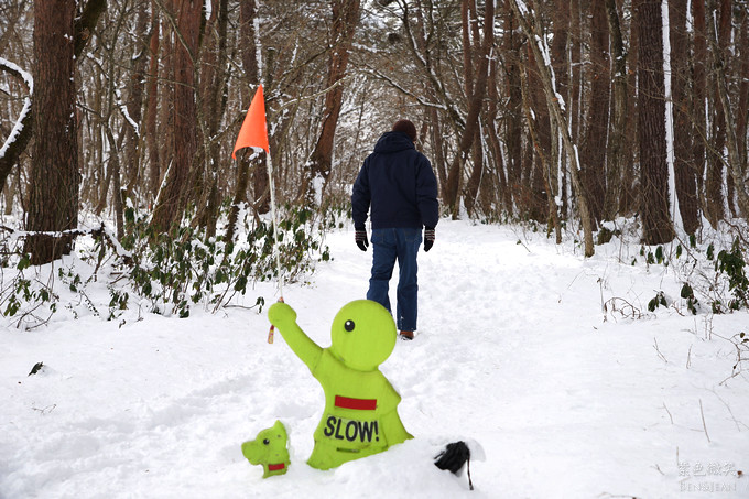 日本福島豬苗代湖冬季必訪！罕見樹冰奇景絕美，天鵝群聚成療癒雪白世界。