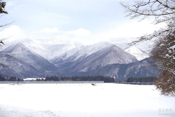 日本福島豬苗代湖冬季必訪！罕見樹冰奇景絕美，天鵝群聚成療癒雪白世界。