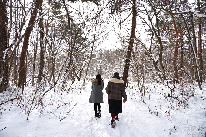 日本福島豬苗代湖冬季必訪！罕見樹冰奇景絕美，天鵝群聚成療癒雪白世界。