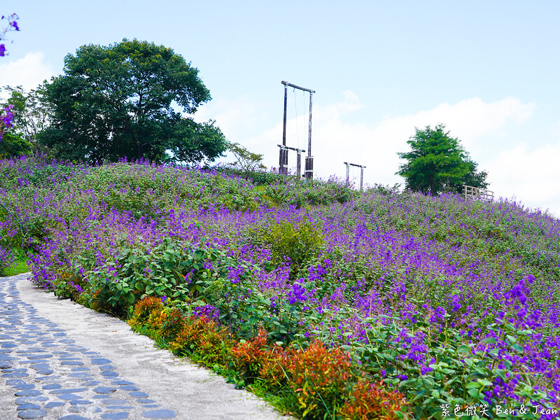 香格里拉休閒農場,宜蘭住宿首選,親子景點玩樂趣,銀絨牡丹季必訪秘境