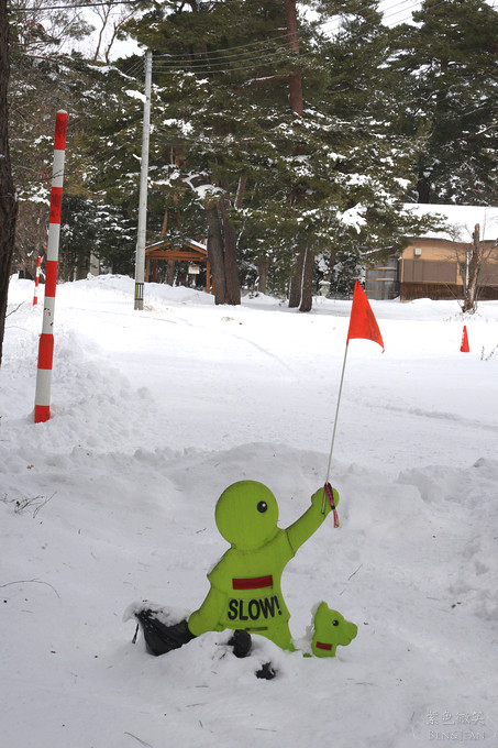 日本福島豬苗代湖冬季必訪！罕見樹冰奇景絕美，天鵝群聚成療癒雪白世界。