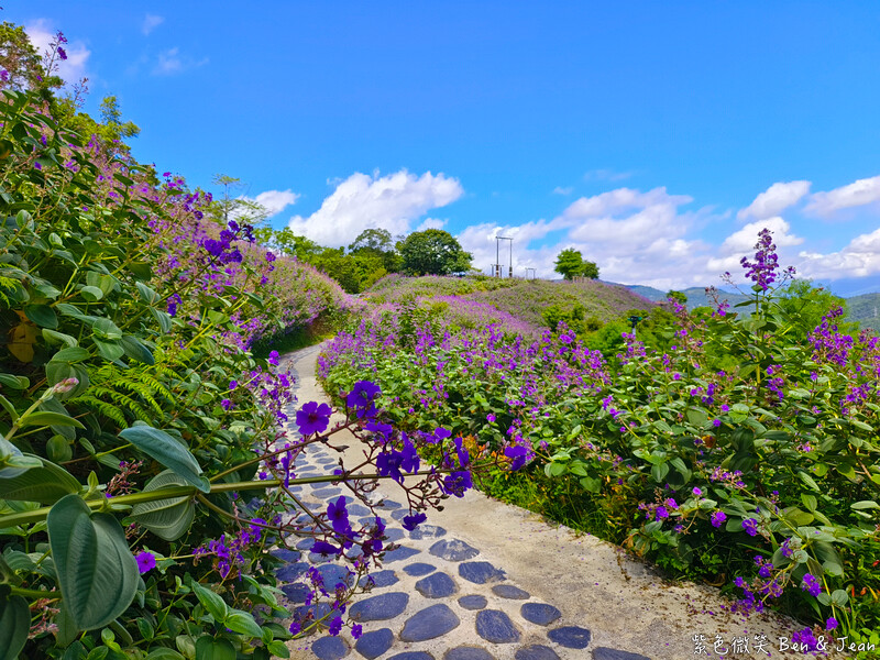 香格里拉休閒農場,宜蘭住宿首選,親子景點玩樂趣,銀絨牡丹季必訪秘境