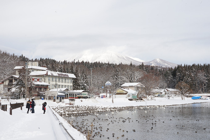 日本福島豬苗代湖冬季必訪！罕見樹冰奇景絕美，天鵝群聚成療癒雪白世界。