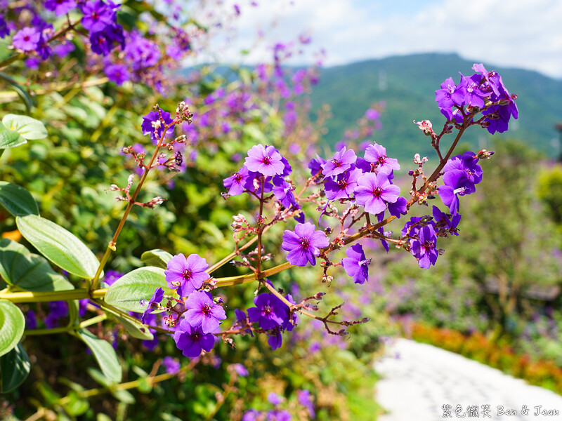 香格里拉休閒農場,宜蘭住宿首選,親子景點玩樂趣,銀絨牡丹季必訪秘境