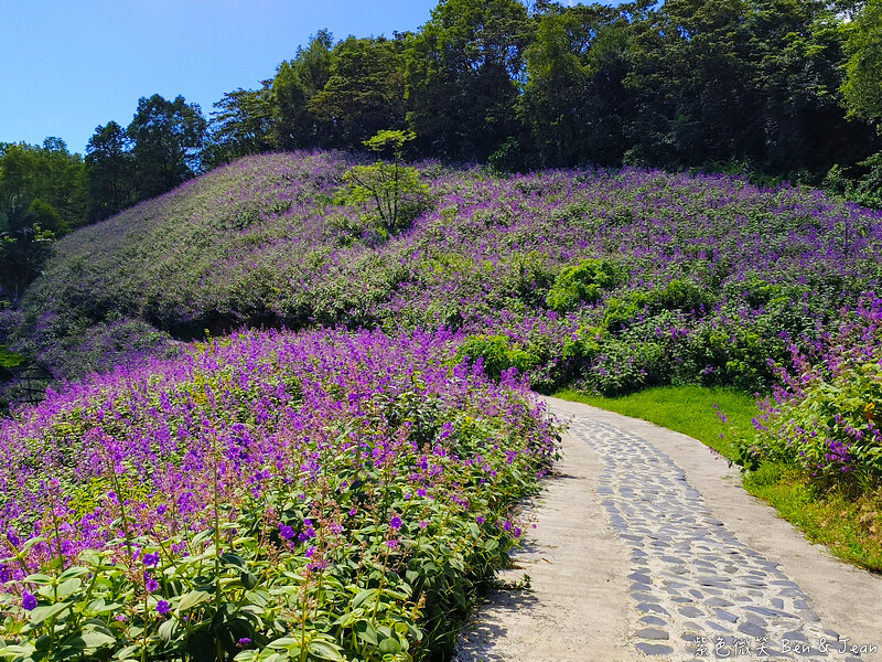香格里拉休閒農場,宜蘭住宿首選,親子景點玩樂趣,銀絨牡丹季必訪秘境
