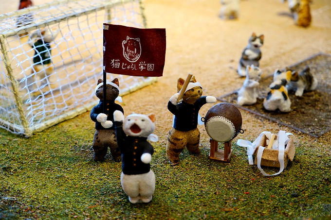 日本福島豬苗代湖冬季必訪！罕見樹冰奇景絕美，天鵝群聚成療癒雪白世界。