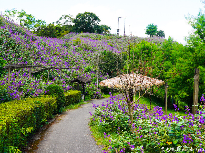 香格里拉休閒農場,宜蘭住宿首選,親子景點玩樂趣,銀絨牡丹季必訪秘境