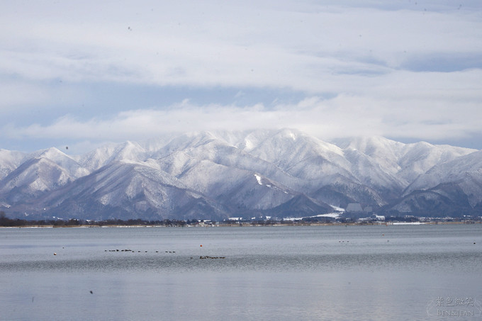 日本福島豬苗代湖冬季必訪！罕見樹冰奇景絕美，天鵝群聚成療癒雪白世界。