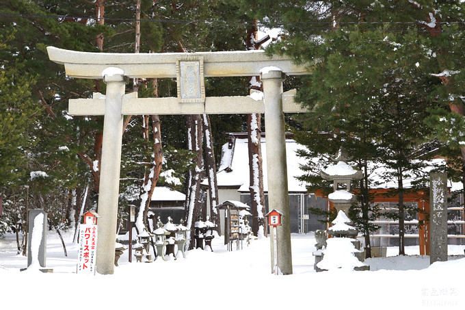 日本福島豬苗代湖冬季必訪！罕見樹冰奇景絕美，天鵝群聚成療癒雪白世界。
