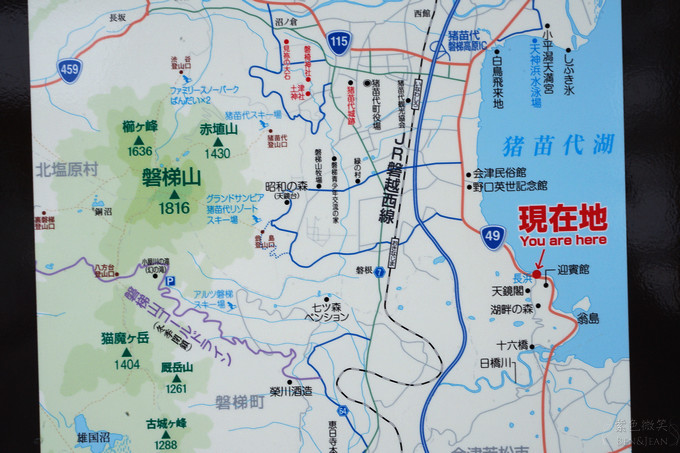 日本福島豬苗代湖冬季必訪！罕見樹冰奇景絕美，天鵝群聚成療癒雪白世界。